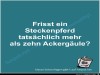 weiter
