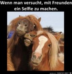 Ein-Selfie-mit-Freunden.jpg auf www.funpot.net