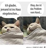 Typisch-Katze.jpg auf www.funpot.net