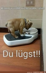Die-Waage-lgt.jpg auf www.funpot.net