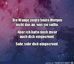 Bse-Waage.jpg auf www.funpot.net