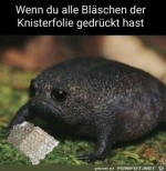 Alle-Blschen-gedrckt.jpg auf www.funpot.net