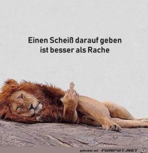 das-stimmt.jpg auf www.funpot.net
