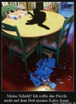 Katze-kann-nichts-dafr.jpg auf www.funpot.net