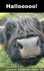 Hallo.jpg auf www.funpot.net
