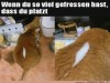 weiter