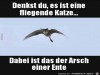 weiter