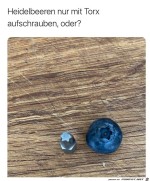 Sieht-nach-Torx-aus.jpg auf www.funpot.net