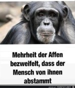 Mehrheit.jpg auf www.funpot.net