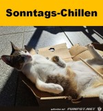 Chillen-am-Sonntag.jpg auf www.funpot.net