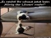 weiter