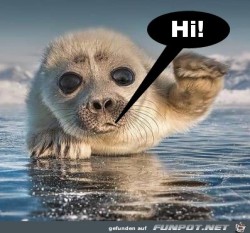 Hi.jpg auf www.funpot.net