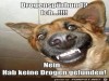 weiter