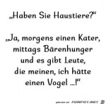 Haustiere.jpg auf www.funpot.net
