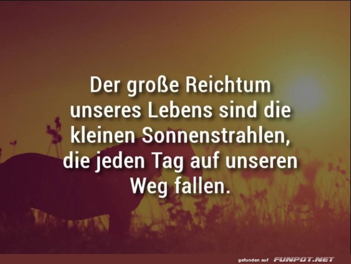 Der grosse Reichtum Der grosse Reichtum