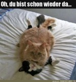 berrascht-worden.jpg auf www.funpot.net
