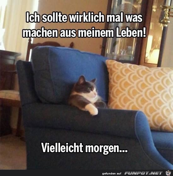 Guter Plan Guter Plan