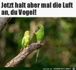 Halt-mal-die-Luft-an.jpg auf www.funpot.net