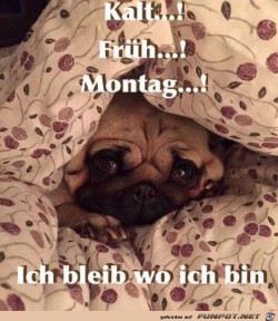 Montag.jpg auf www.funpot.net