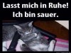 weiter