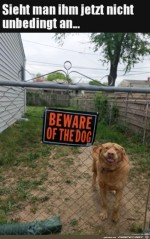 Ein-wirklich-gefhrlicher-Hund.jpg auf www.funpot.net