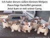 weiter