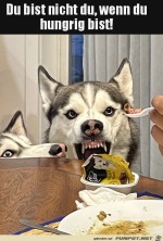 Er-hat-Hunger.jpg auf www.funpot.net
