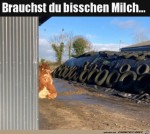 Brauchst-du-Milch?.jpg auf www.funpot.net