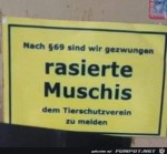 Muschis.jpg auf www.funpot.net