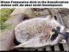 weiter