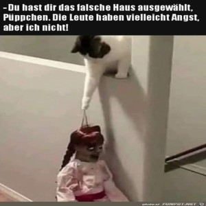 fun-Bild: Nicht in diesem Haus