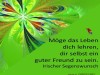 weiter
