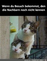 Neuer-Besuch.jpg auf www.funpot.net