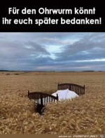 Der-Ohrwurm-im-Bild.jpg auf www.funpot.net