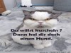 weiter