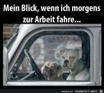 Mein-Blick.jpg auf www.funpot.net