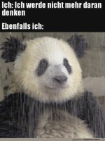 Klappt-nicht.jpg auf www.funpot.net