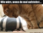 Steh-auf.jpg auf www.funpot.net
