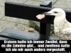 weiter