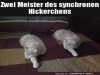 weiter