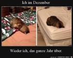Ich-immer.jpg auf www.funpot.net