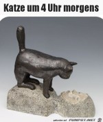 Typisch-Katze.jpg auf www.funpot.net