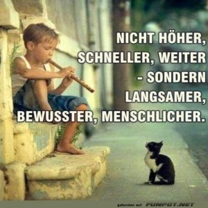 herz-Bild: Katzenkonzert mal anders!