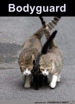 Tierische-Bodyguards.jpg auf www.funpot.net