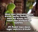 Mehrere-Grnde.jpg auf www.funpot.net