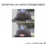 Sehr-schlagfertig.jpg auf www.funpot.net