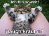 weiter