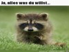 weiter