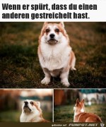 Du-hast-einen-anderen-Hund-gestreichelt.jpg auf www.funpot.net