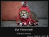 weiter